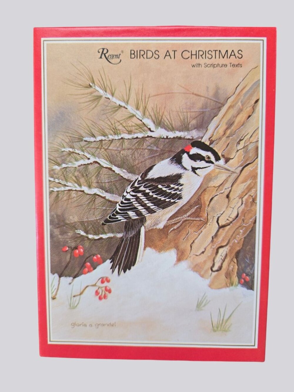 Birds At Christmas Boxed Greeting Cards By Regent Envelopes Scripture Texts